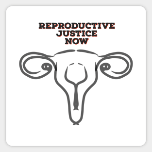 Reproductive Justice Now Sticker